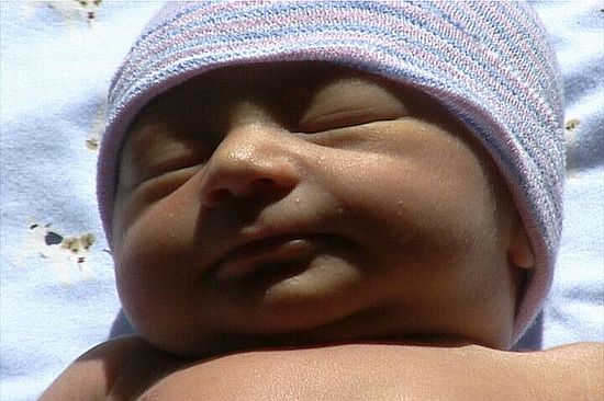 Click on image for details