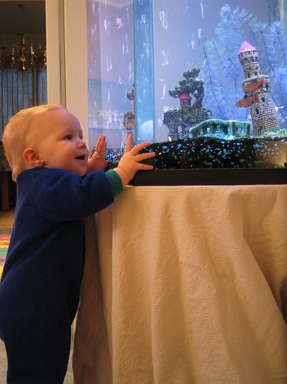 Click on image for details