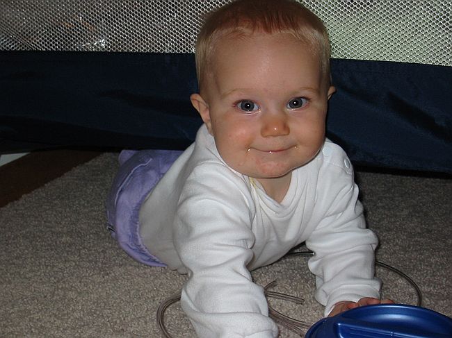 Click on image for details