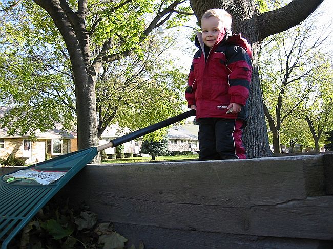 Click on image for details