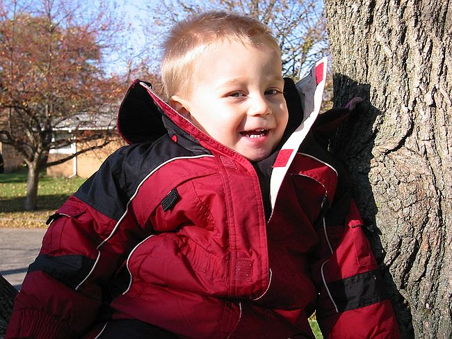 Click on image for details