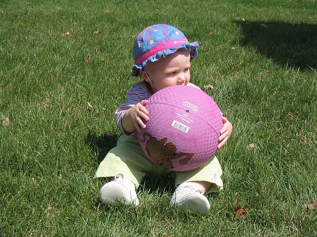 Click on image for details