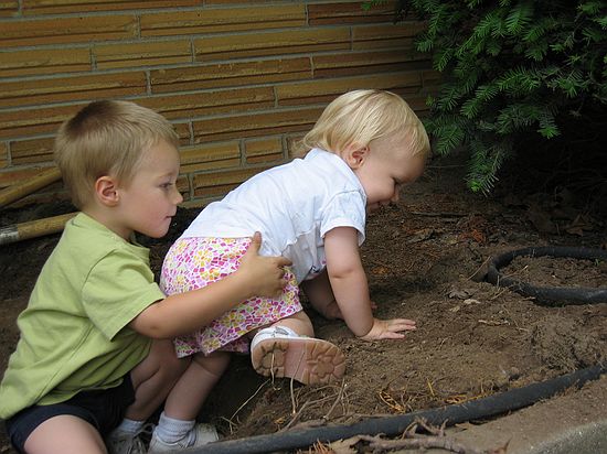 Click on image for details