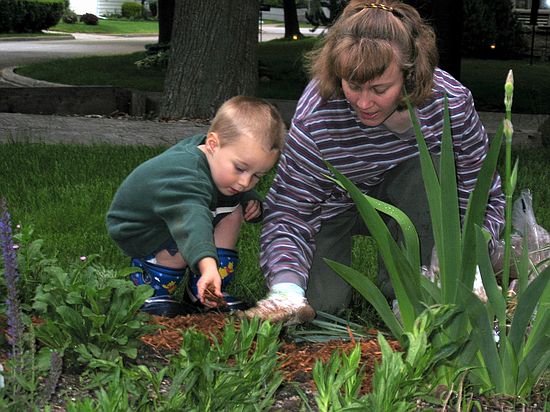 Click on image for details