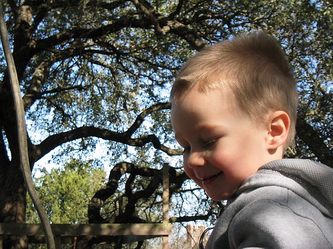 Click on image for details