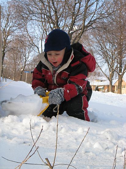 Click on image for details