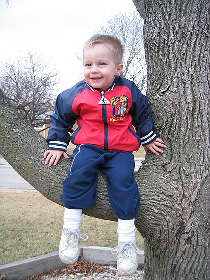 Click on image for details