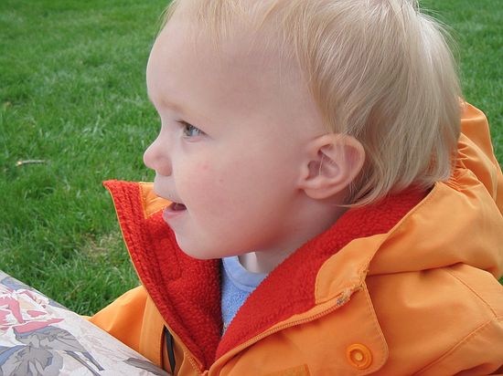 Click on image for details