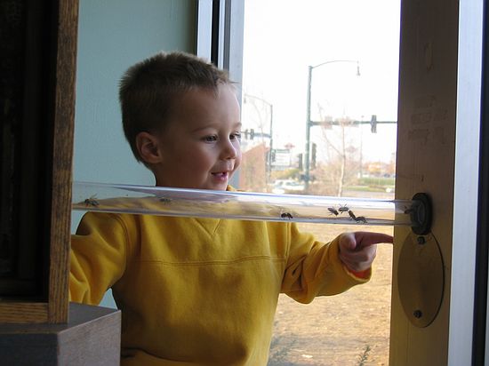 Click on image for details