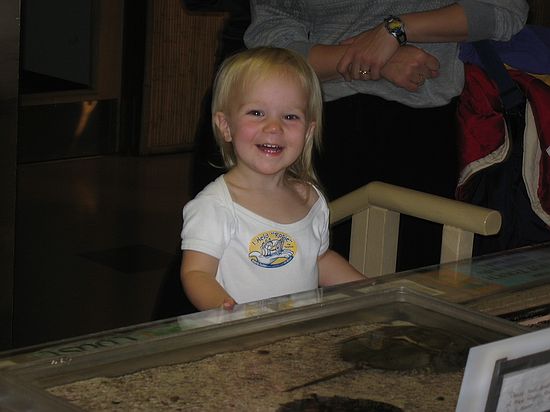 Click on image for details