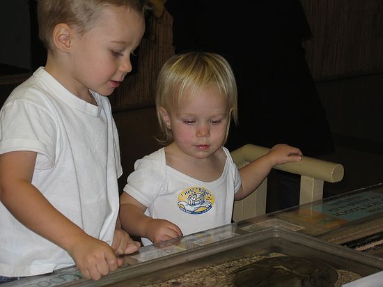 Click on image for details