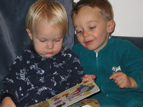 Click on image for details