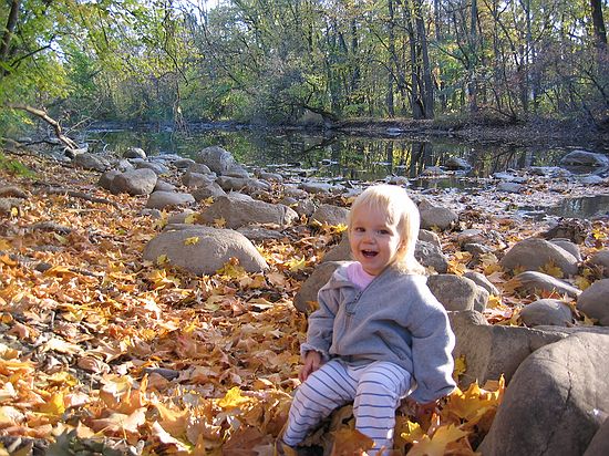 Click on image for details