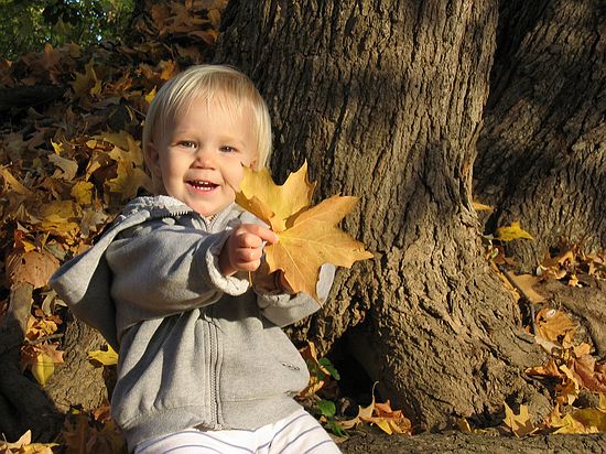 Click on image for details