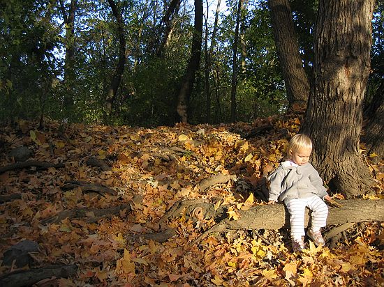 Click on image for details