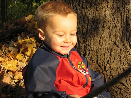 Click on image for details