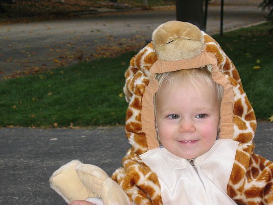 Click on image for details