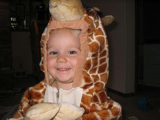 Click on image for details