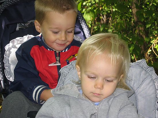 Click on image for details