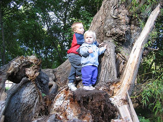 Click on image for details