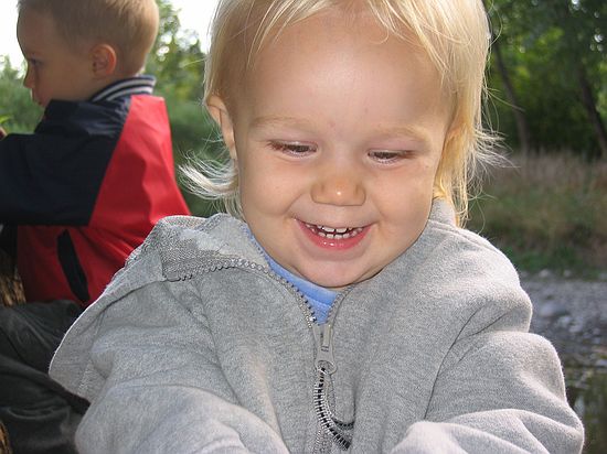 Click on image for details