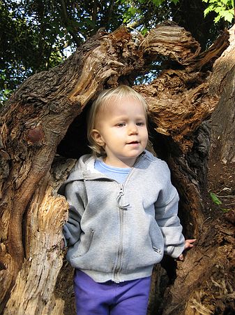 Click on image for details