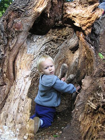 Click on image for details