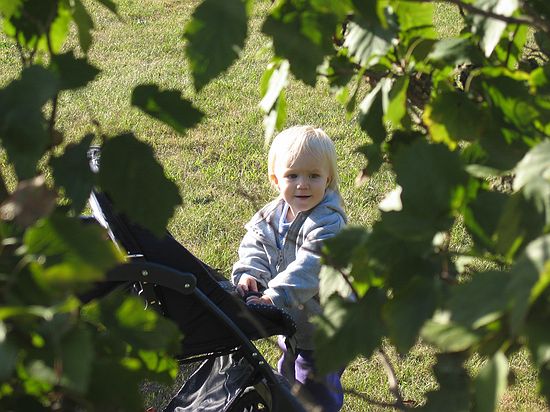 Click on image for details