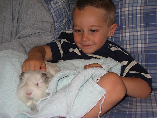 Click on image for details