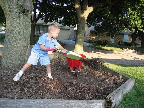 Click on image for details