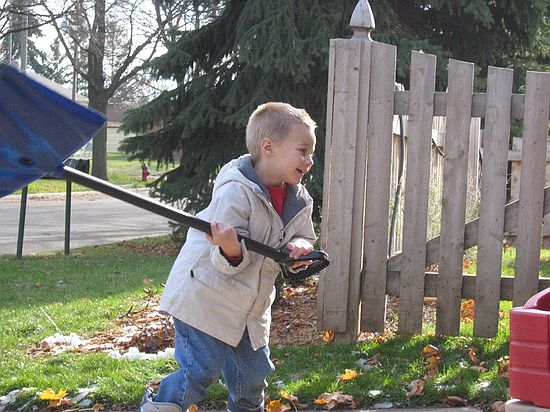 Click on image for details