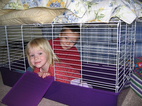 Click on image for details