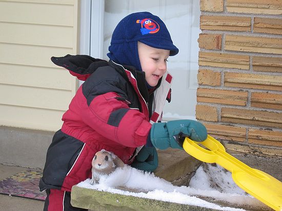 Click on image for details