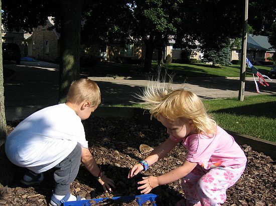 Click on image for details