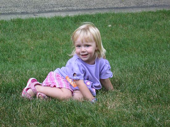 Click on image for details