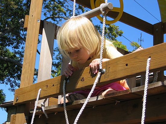 Click on image for details