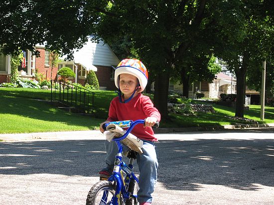 Click on image for details