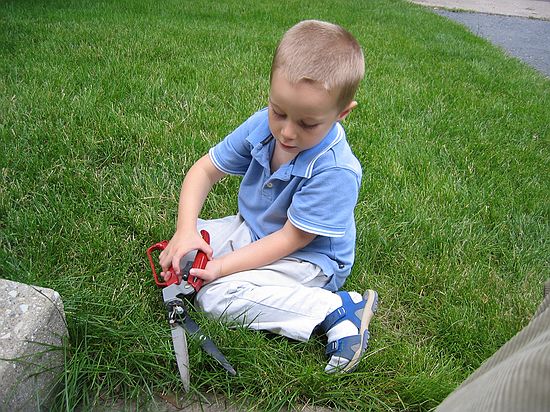 Click on image for details