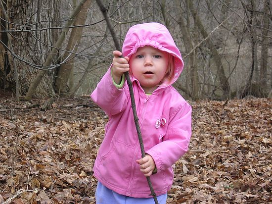 Click on image for details