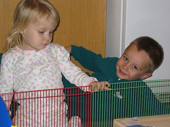 Click on image for details