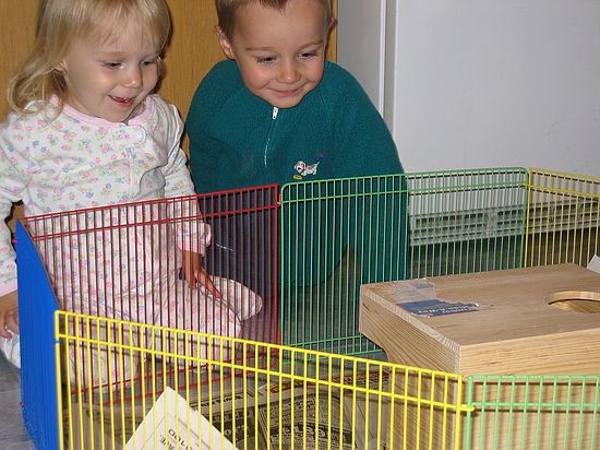 Click on image for details