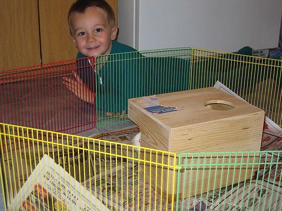 Click on image for details