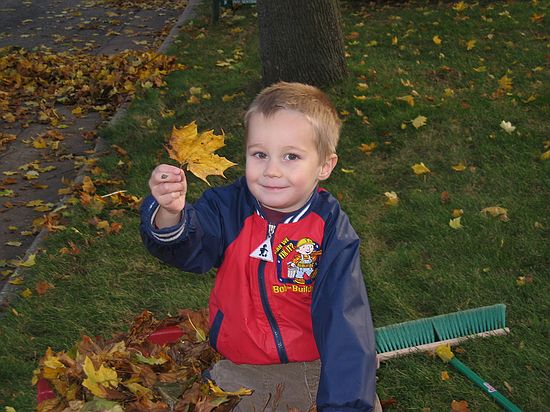 Click on image for details