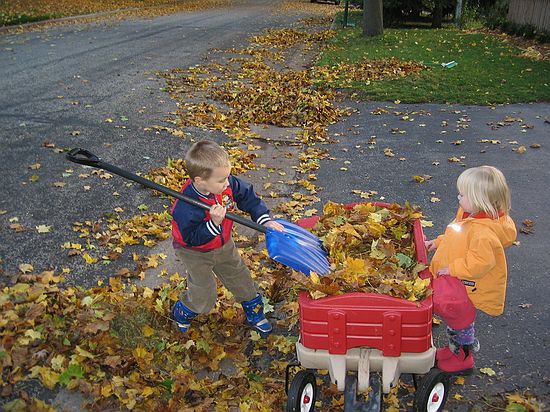 Click on image for details