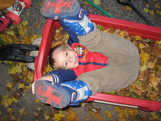 Click on image for details