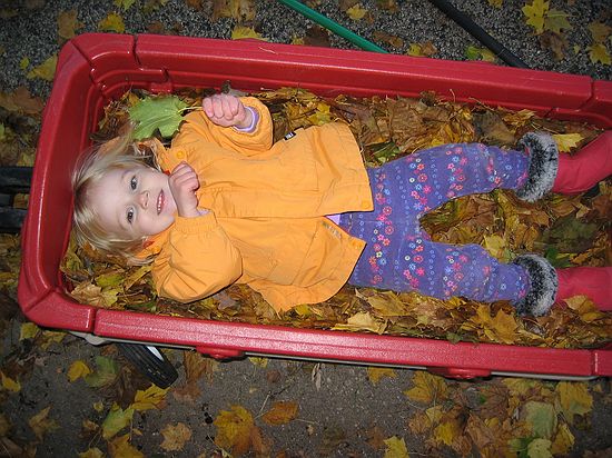 Click on image for details