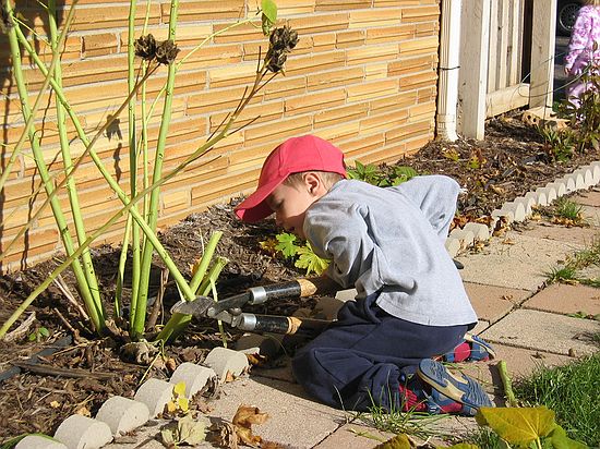 Click on image for details