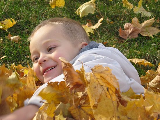 Click on image for details