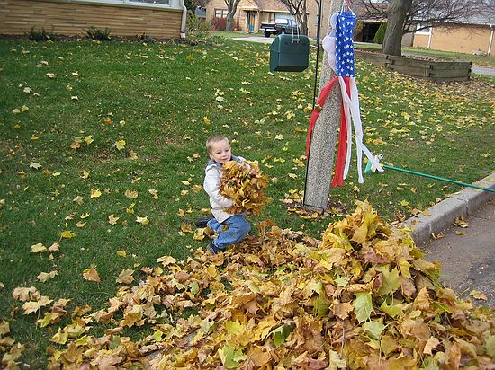 Click on image for details