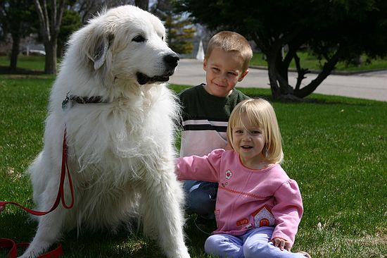 Click on image for details